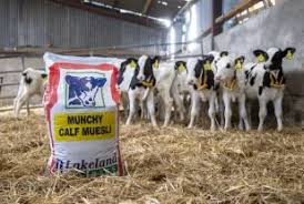 Lakeland Munchy Calf Muesli